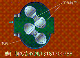 三叶罗茨鼓成人毛片18女人毛片免费看麻豆工作原理gif动画